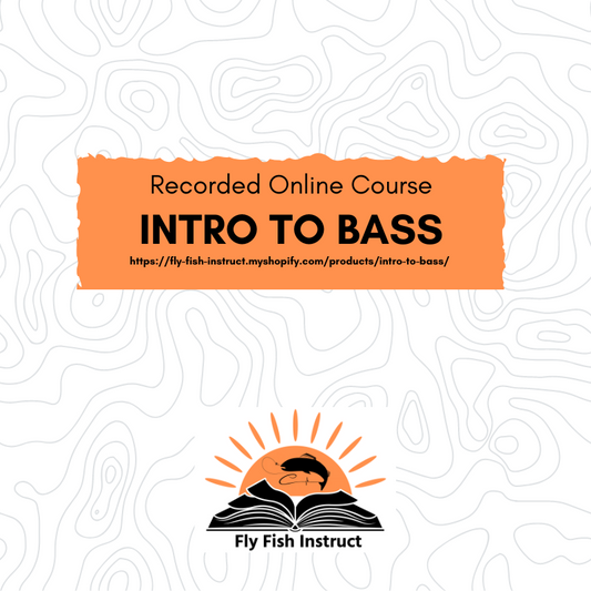 Intro to Bass Online Class