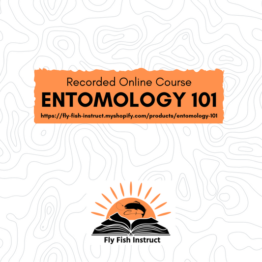 Entomology 101 Recorded Online Class