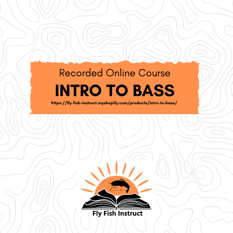 Intro to Bass Online Class