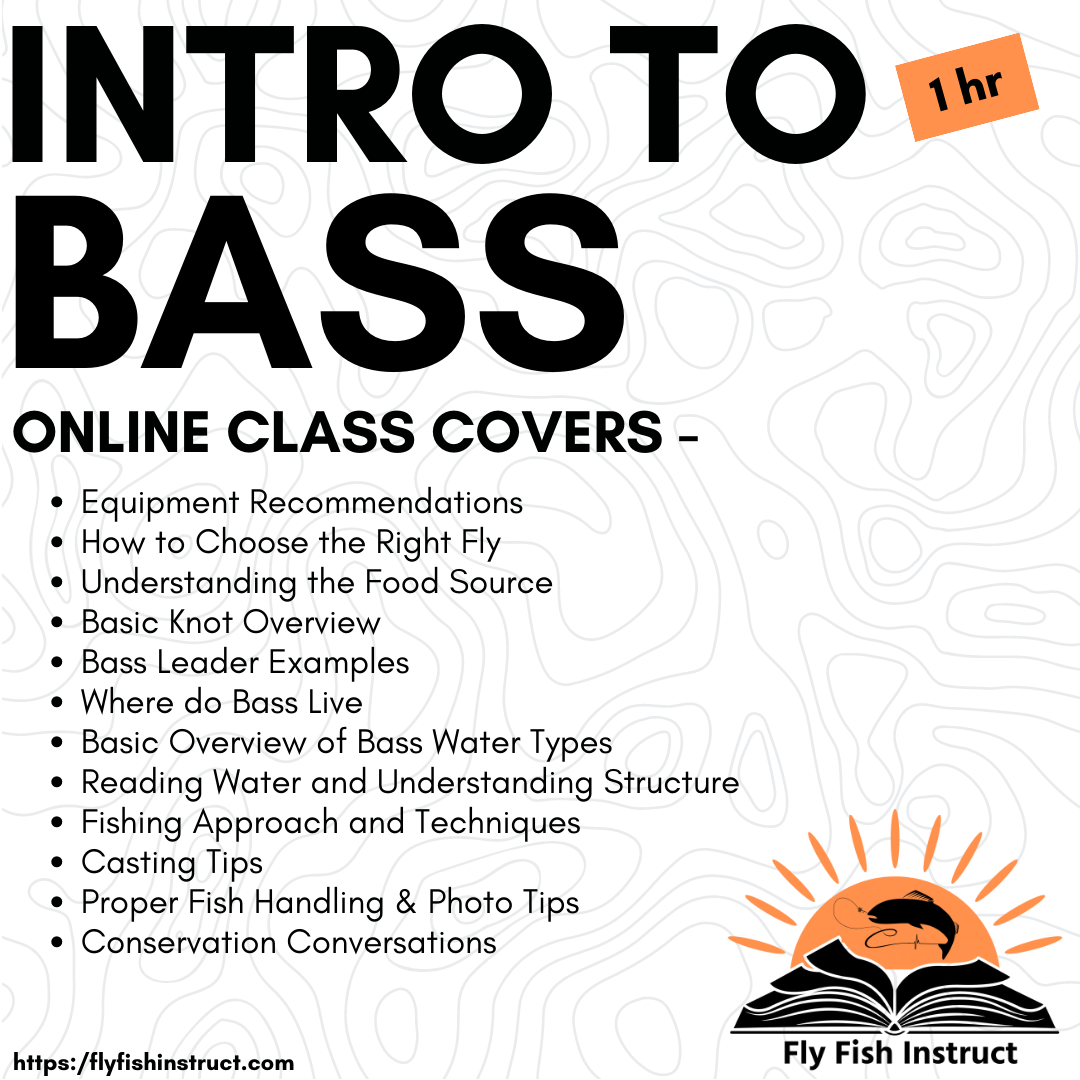 Intro to Bass Online Class