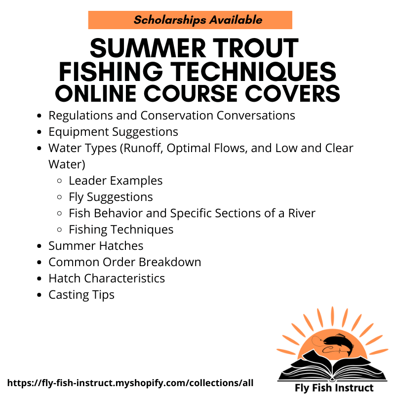 Summer Trout Fishing Techniques