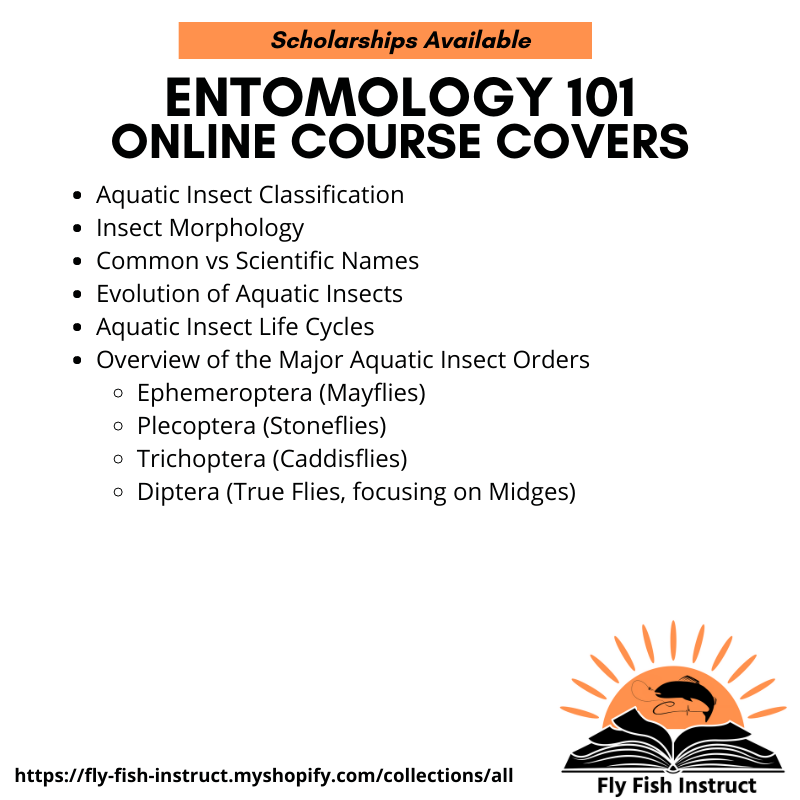 Entomology 101 Recorded Online Class